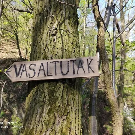 Erzsebet Vendeghaz *